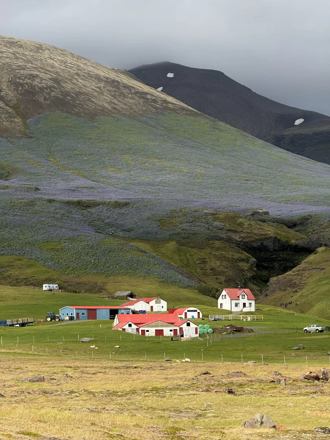 我的年度旅行Live精选｜北欧篇⚜️