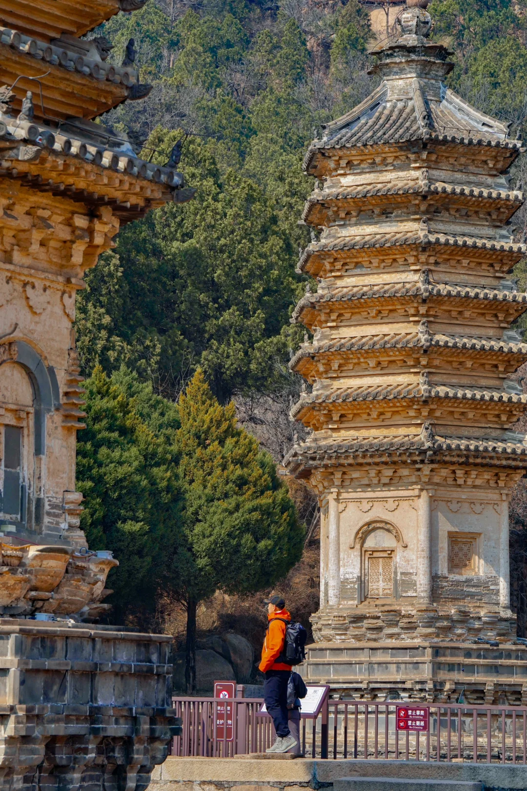 京郊1h🚙被严重低估的春游秘境🌳附攻略