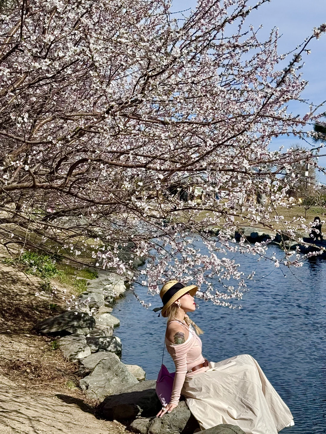 拒绝市区人挤人🌸圆明园的锦鲤桃花溪太香了