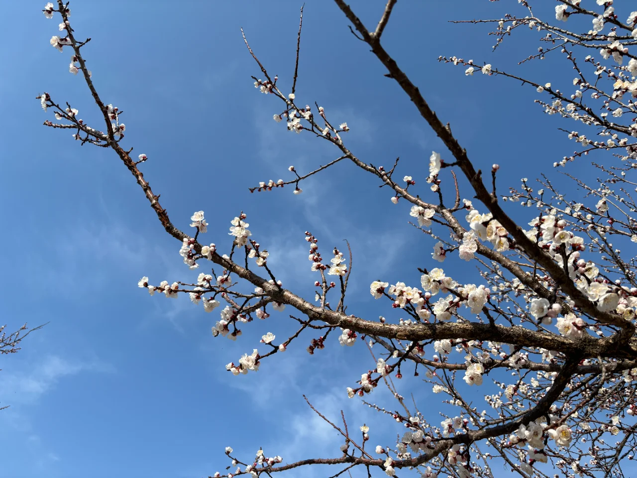 我在邯郸上春山，去天宝寨就看这篇攻略！