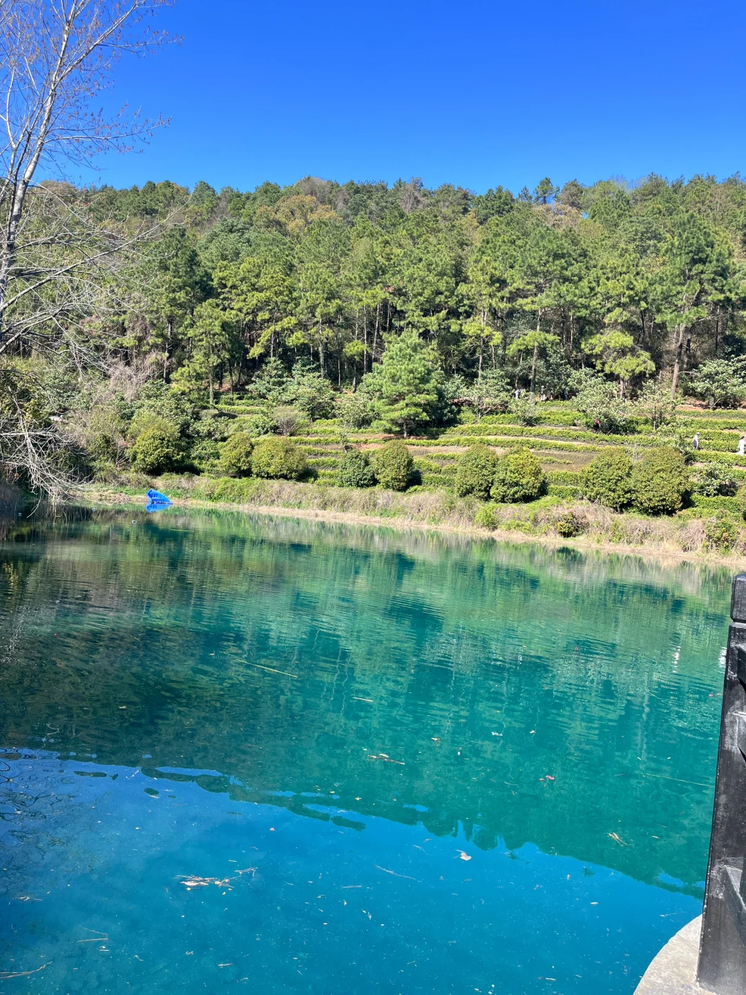 3.30 | 苏州小众踏春赏花景点‼️🤩