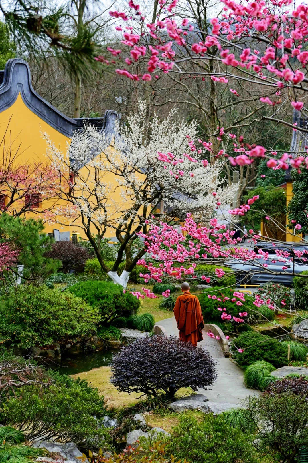 去杭州灵隐寺，赴一场春的邀约🌸