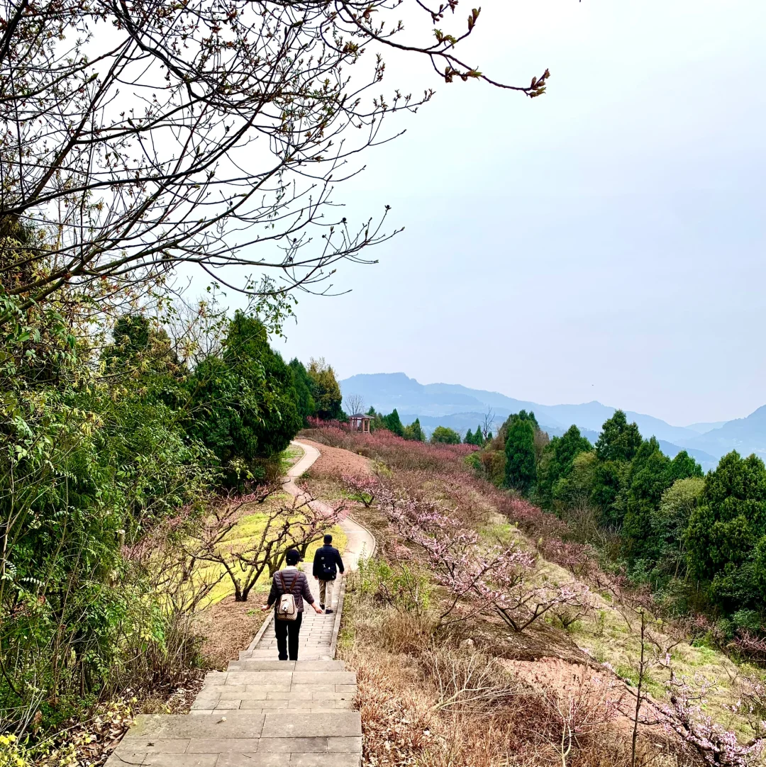成都徒步|走入油画般的登山步道