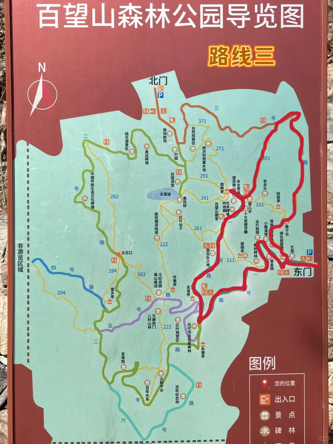 3.21百望山实况🌸 附4条赏花路线✅