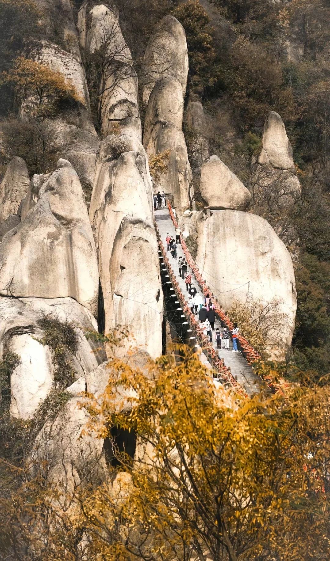 河南三月最值得旅游的十大地方推荐 |