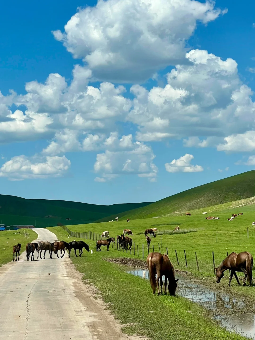 五一反向旅游！想安利1W次被低估的宝藏秘境