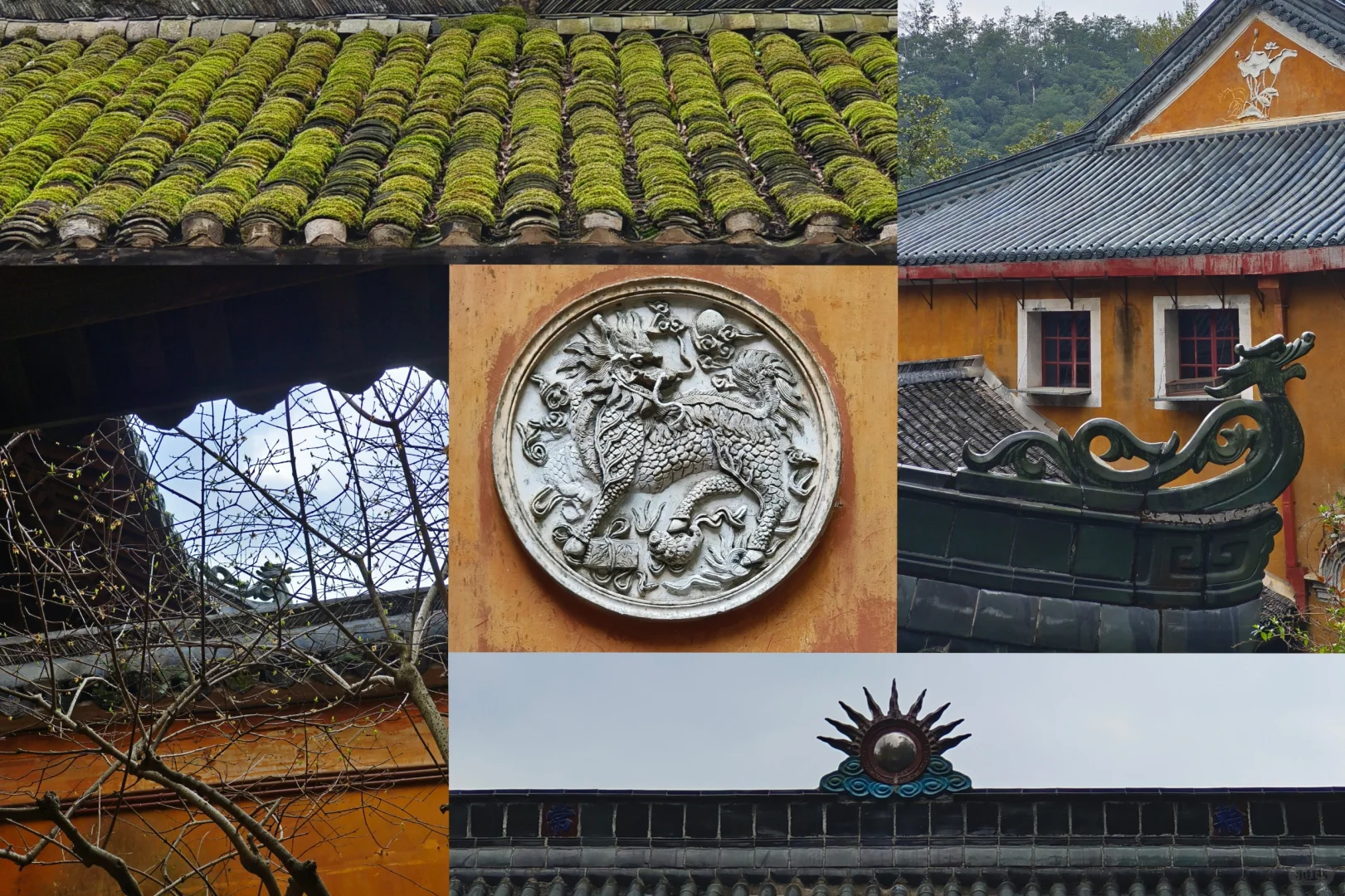 上海出发特种兵一日游之上春山👣