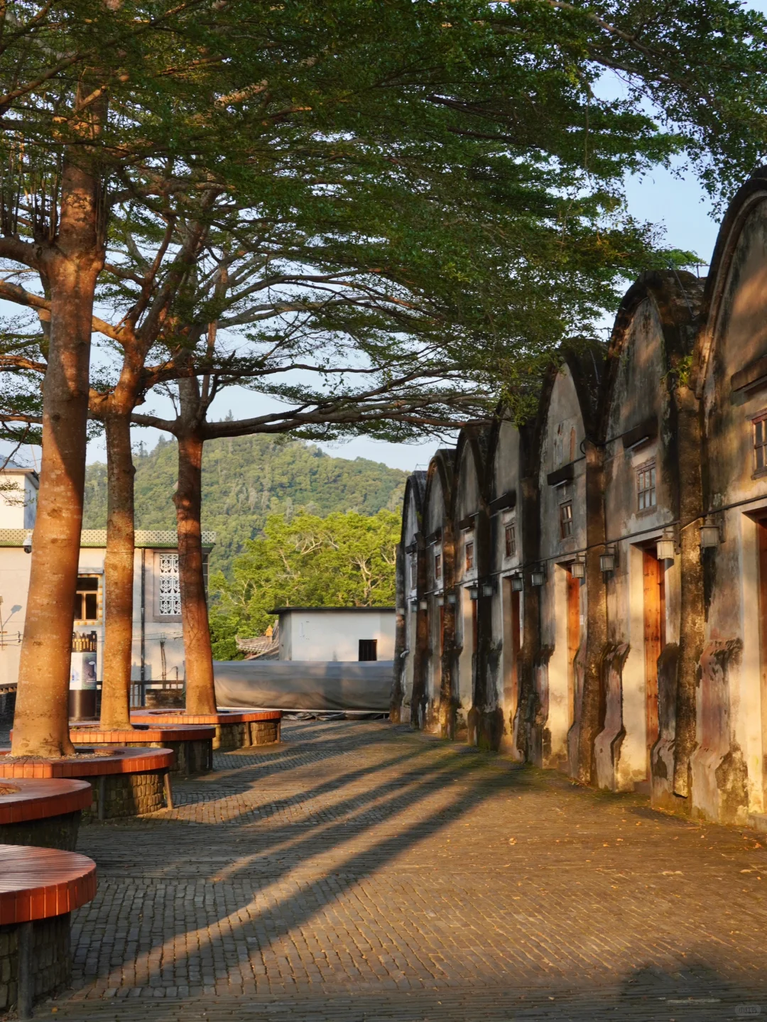 不用去大理❗️深圳的古城也很治愈🍂