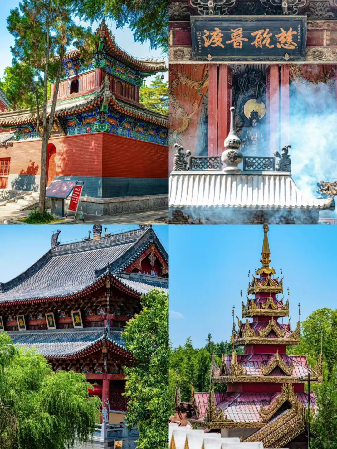 🌸洛阳 |3-4月来真香，牡丹花城的春日奇遇！