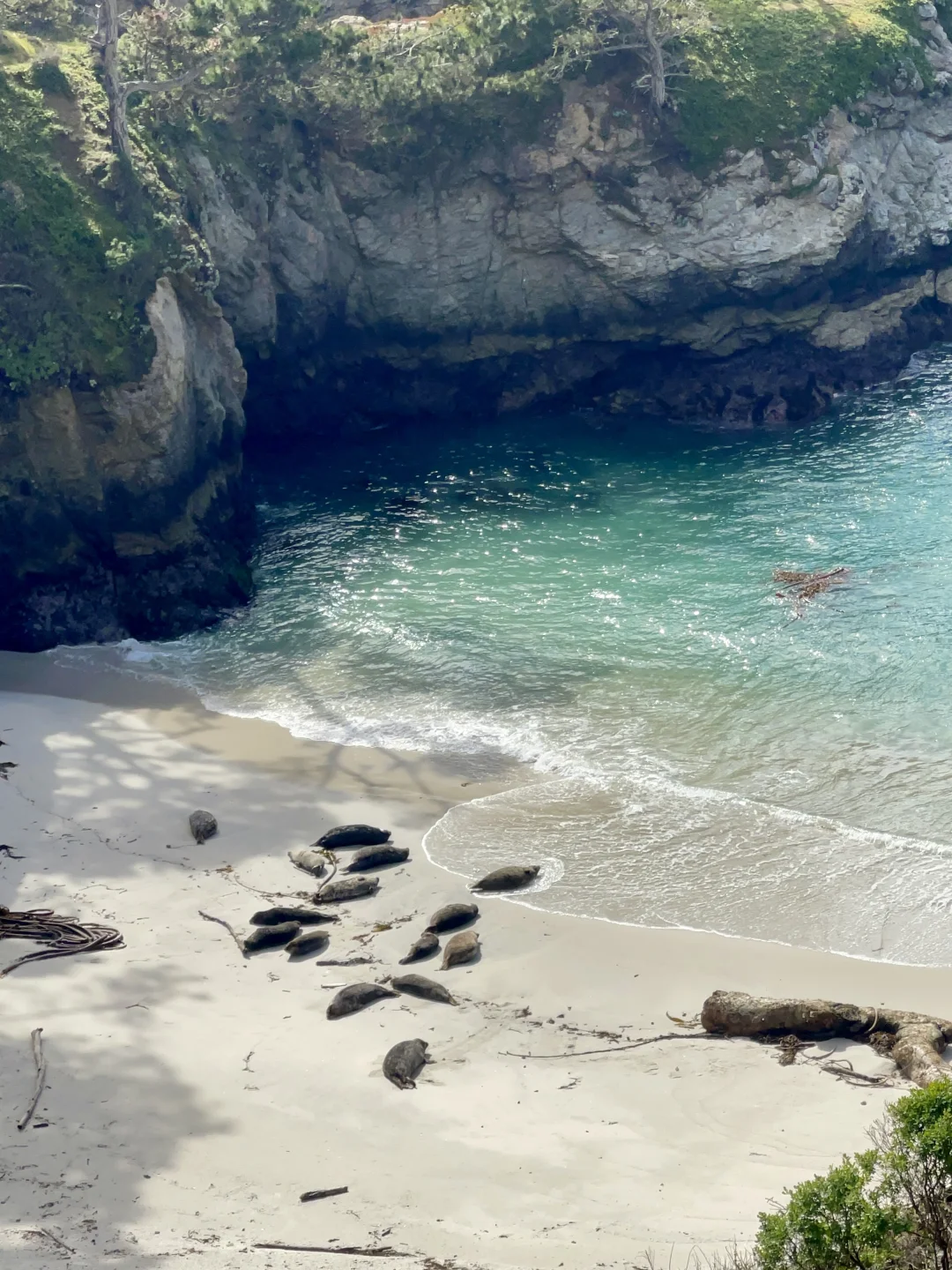 加州平替Hawaii 都给我去Carmel！附超强攻略