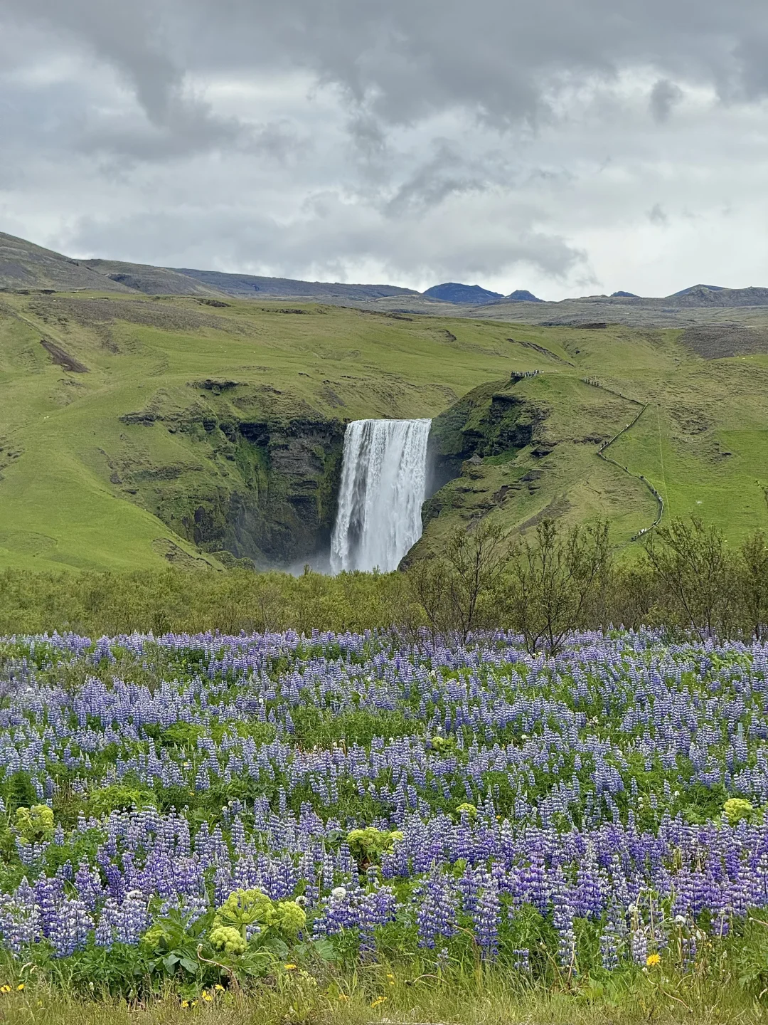 我的年度旅行Live精选｜北欧篇⚜️