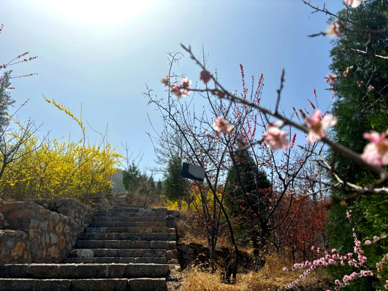 我在邯郸上春山，去天宝寨就看这篇攻略！