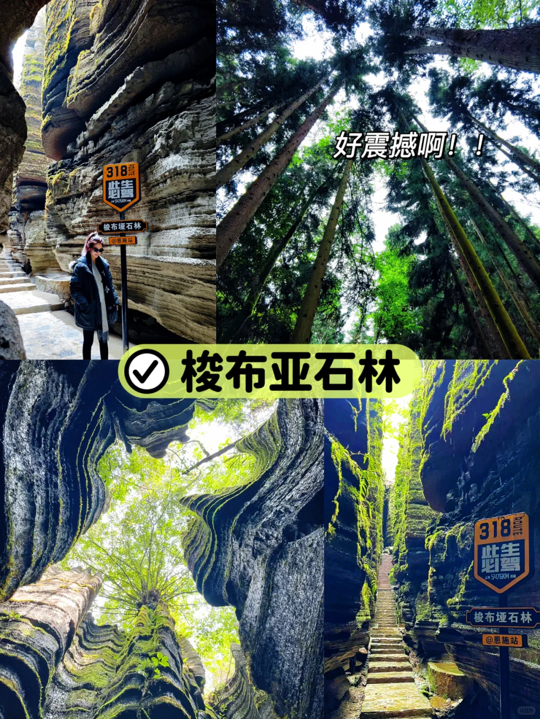 恩施999💰买一送一！5天新玩法也太爽了