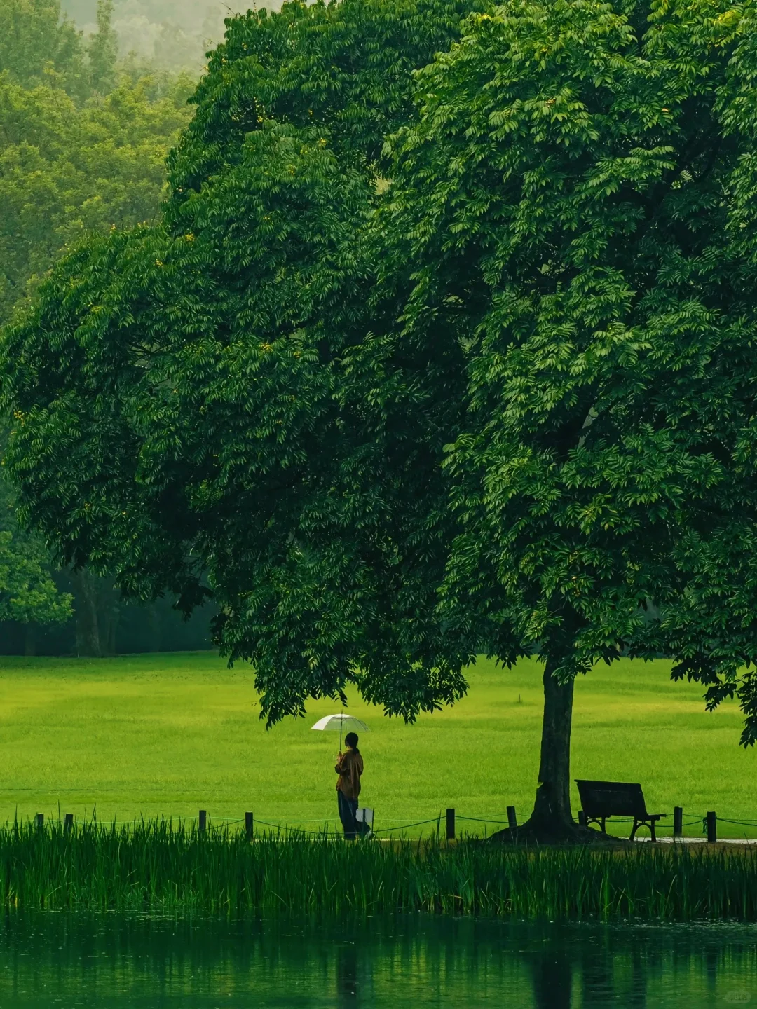 上海🚗2h｜5个天花板级别春游好去处