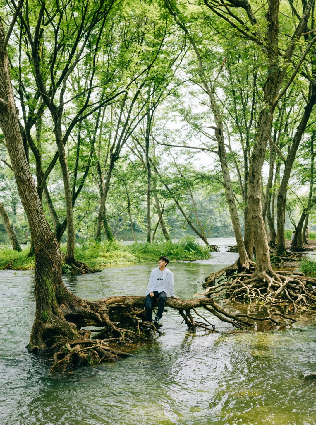 以为宏村已经够美了，直到我去了这里…