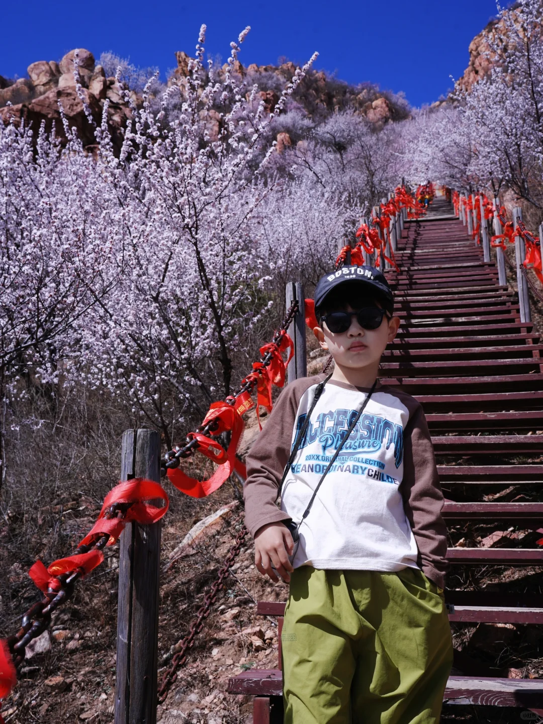 3.20实拍‼️封神级别的山花已盛放！快打卡