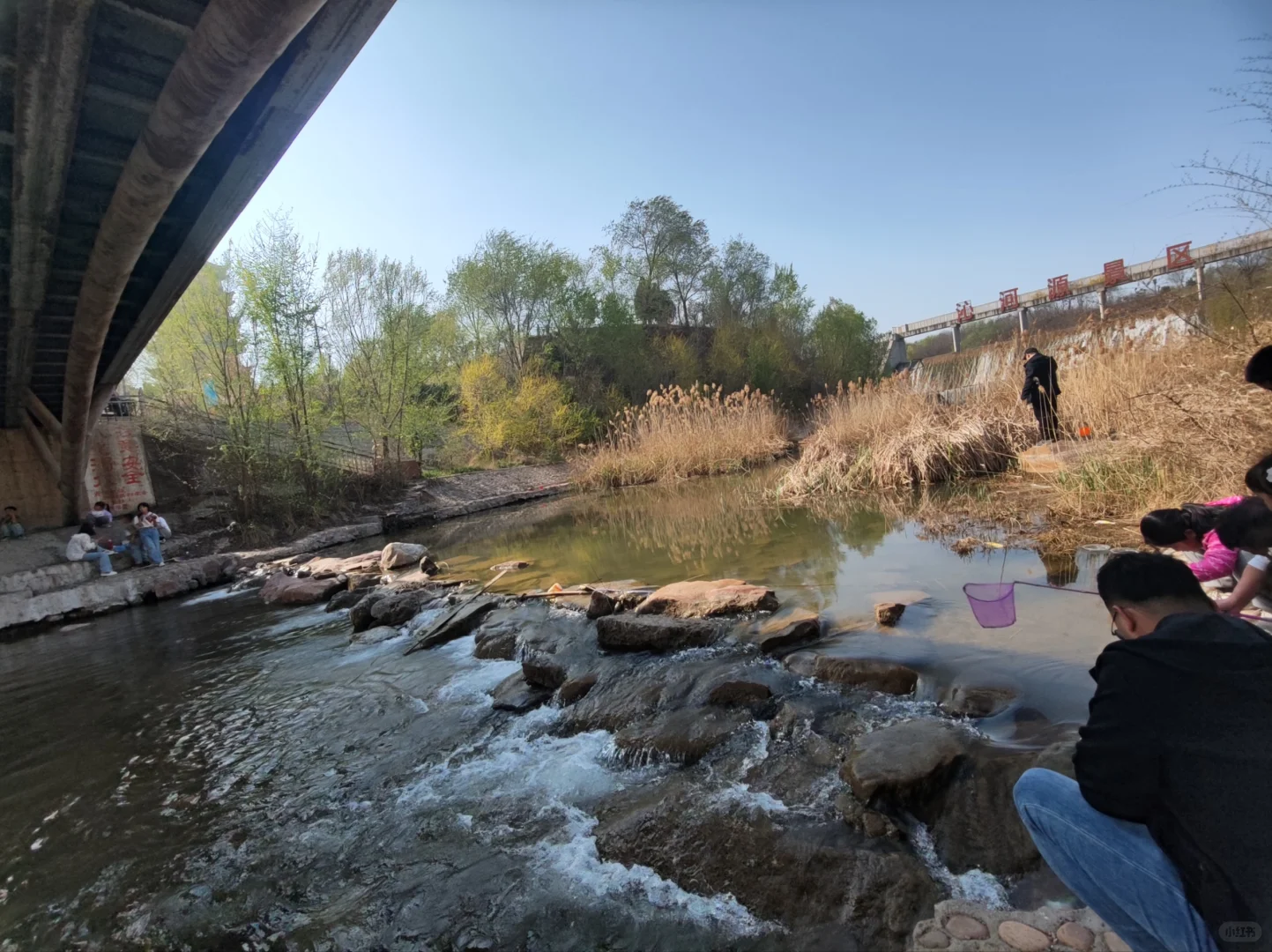 ✨邯郸👣免费露营遛娃的好地方