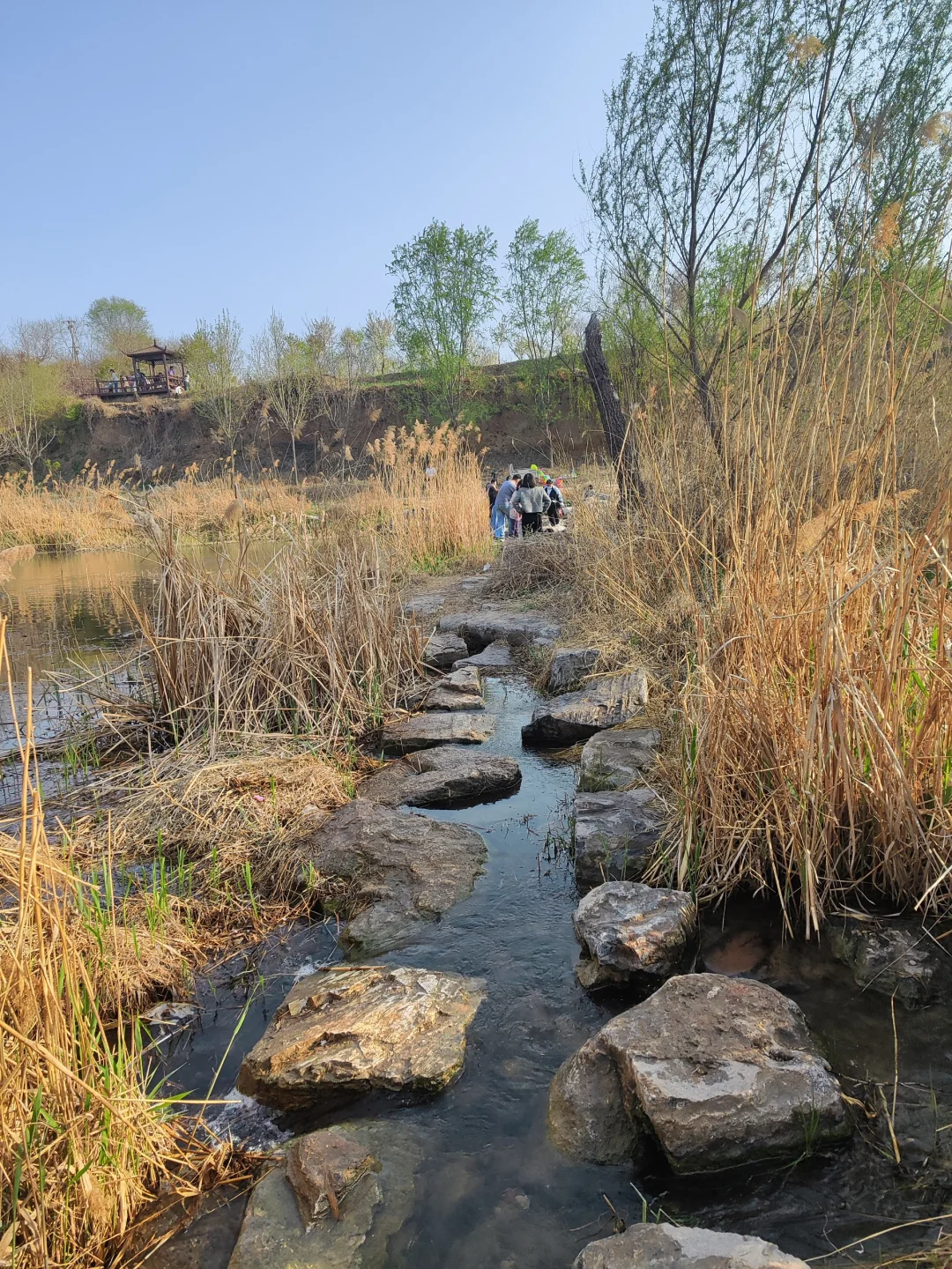 ✨邯郸👣免费露营遛娃的好地方