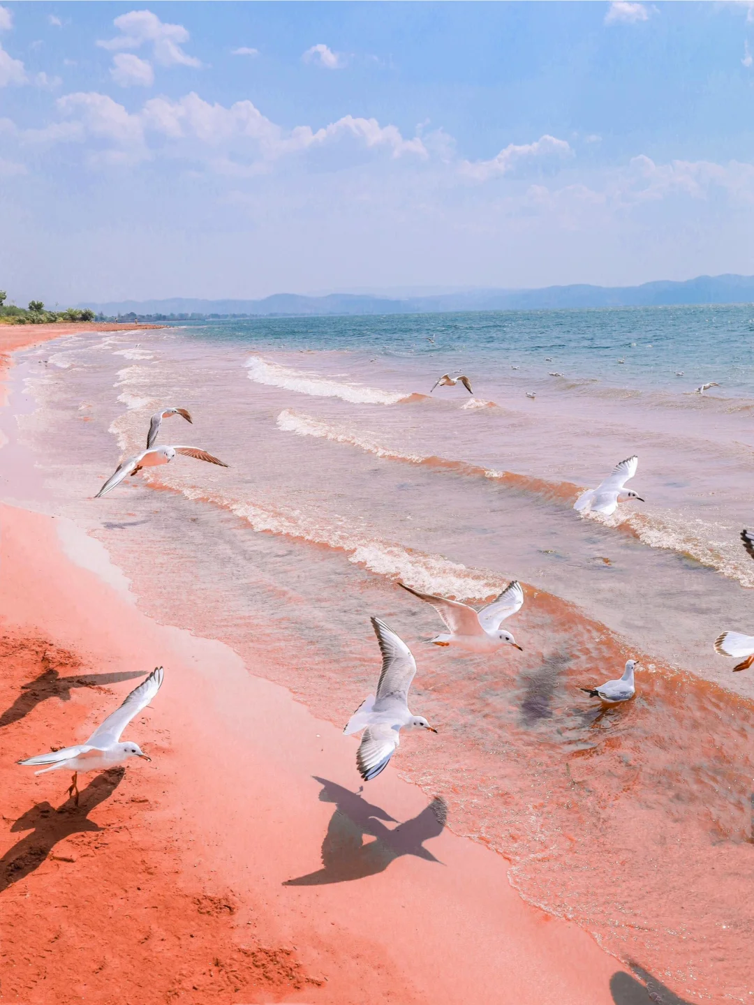 五一反向旅游!我找到了国内唯一的粉红沙滩