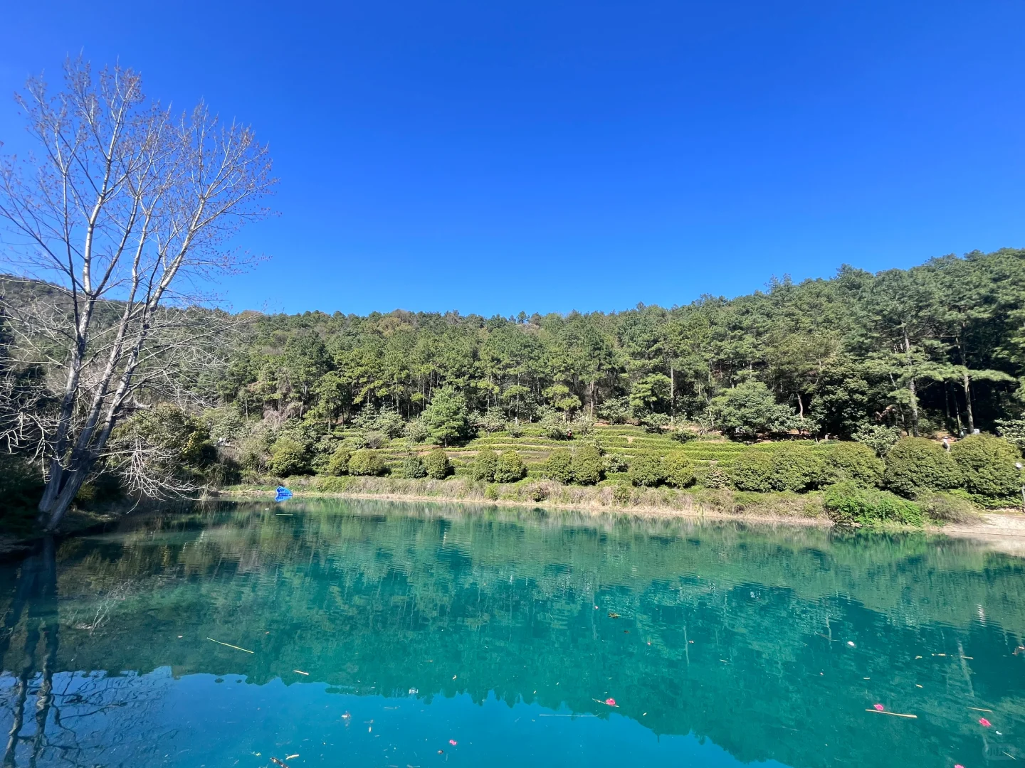 3.30 | 苏州小众踏春赏花景点‼️🤩