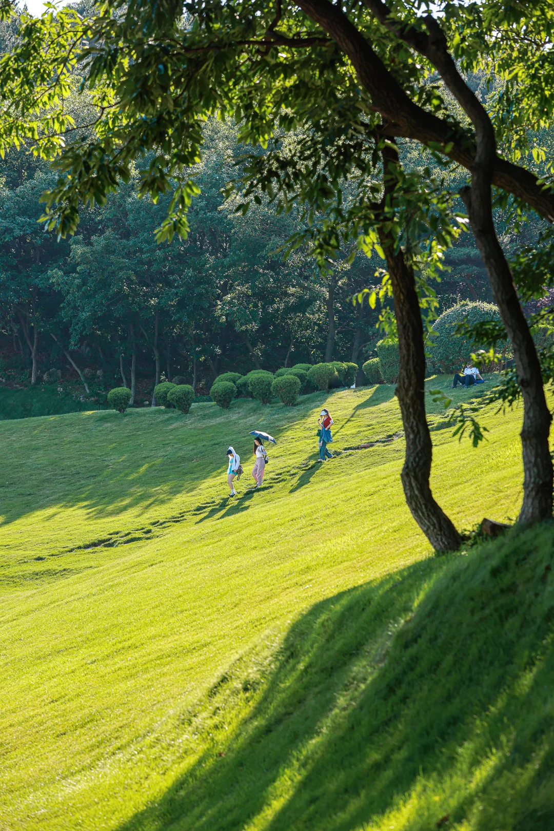 很期待接下来的春天/大连童牛岭