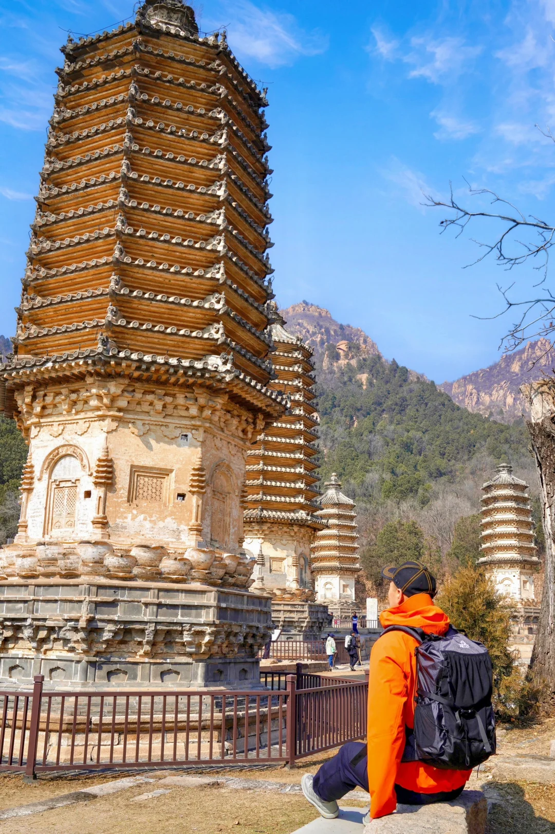 京郊1h🚙被严重低估的春游秘境🌳附攻略