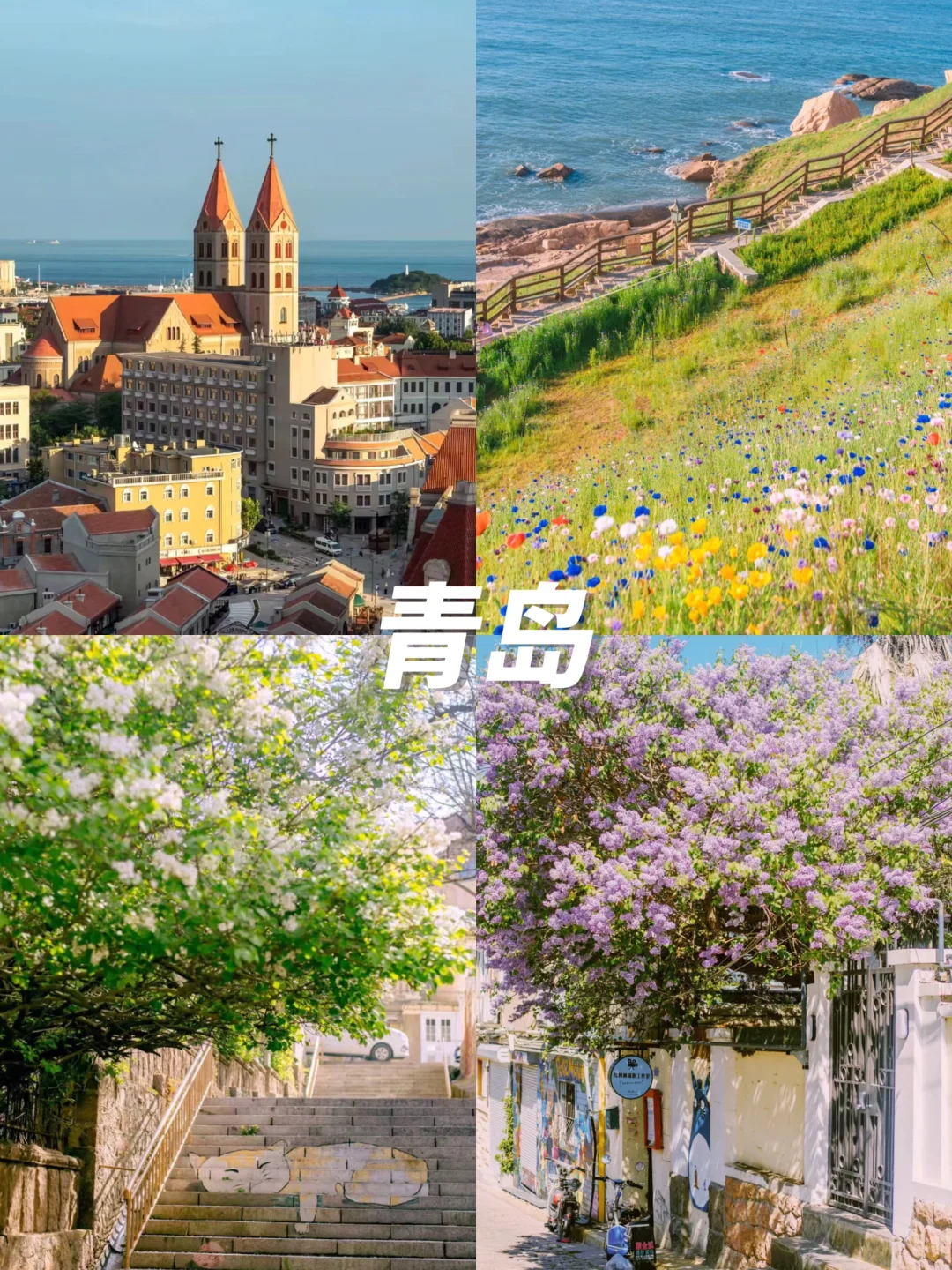 清明赏花游🌸3-4月绝美不踩雷九个城市‼️