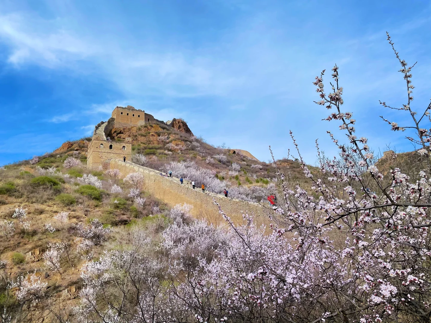 春日户外遛娃🌸这里必须踮起脚来推荐❗️