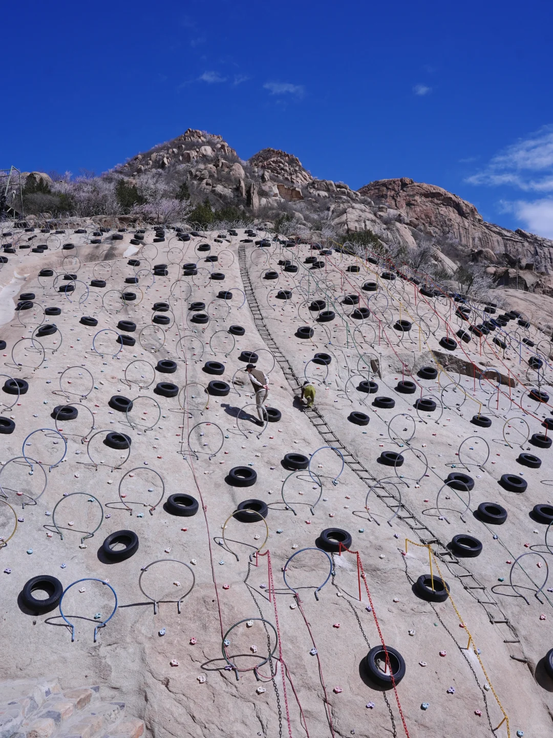3.20实拍‼️封神级别的山花已盛放！快打卡