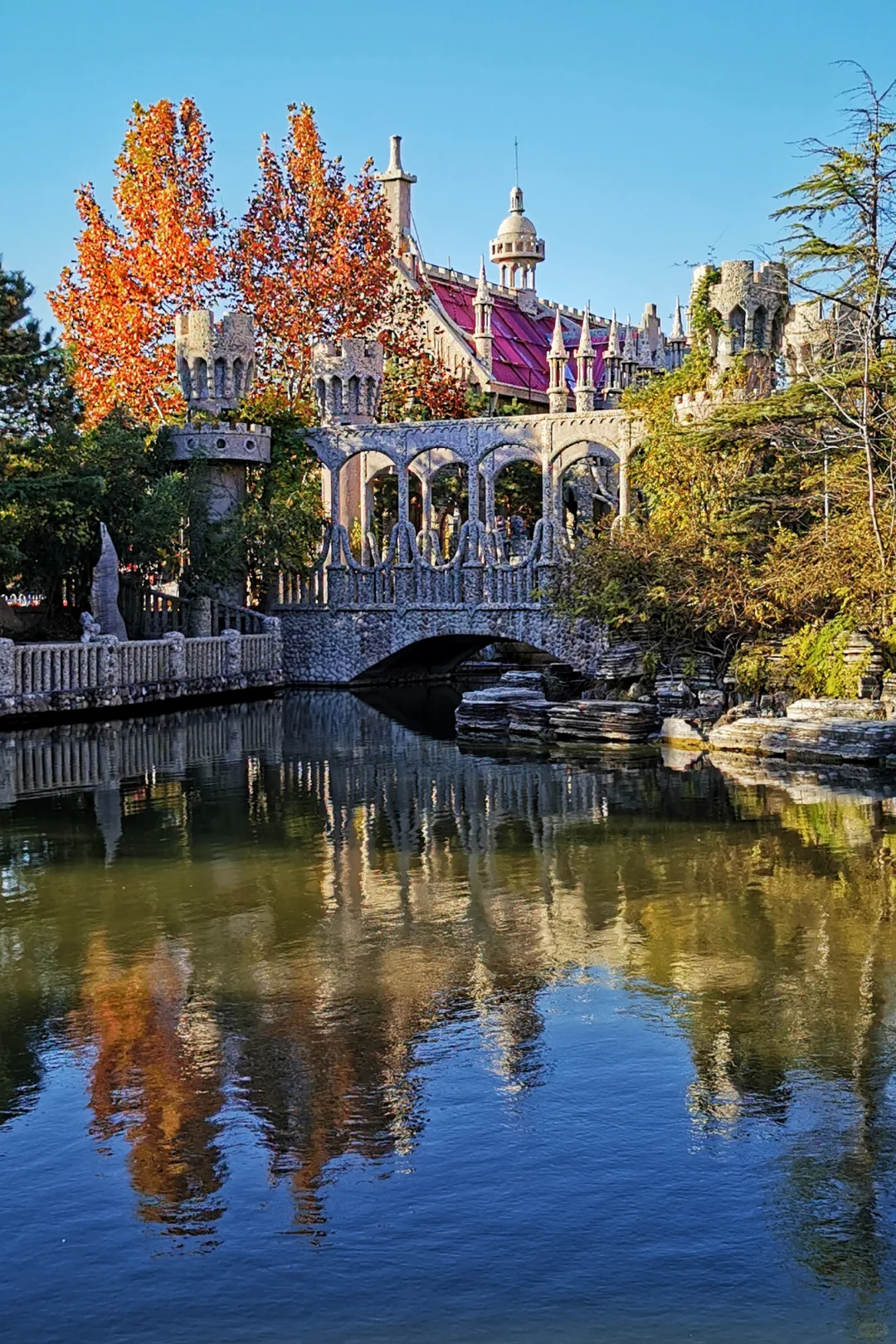 打卡天津254：惊艳的中华石园🌺