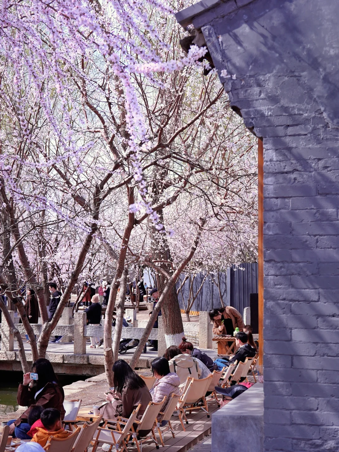 北京春天📍适合一个人逛一下午的地方…