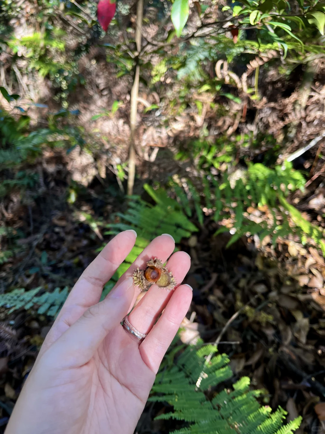 丽水秘境徒步｜阳光洒落 潭水如钻🍃🧊🫧