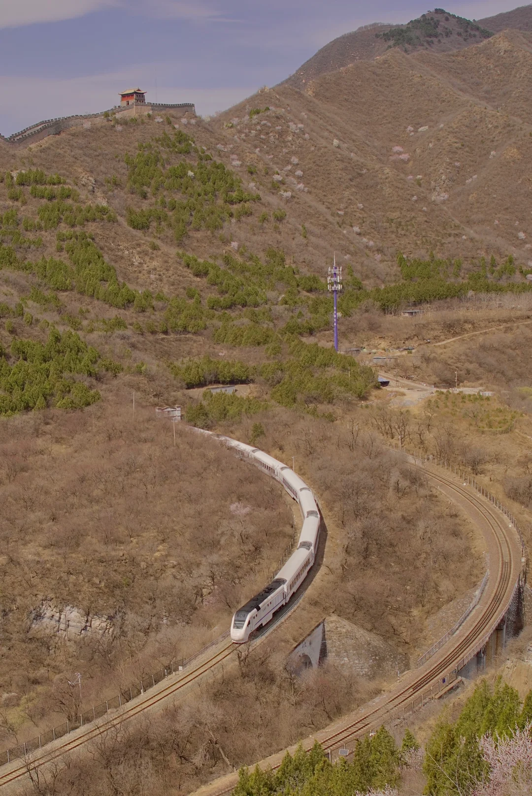 3月22居庸关花海列车没白去，0元解锁附攻略
