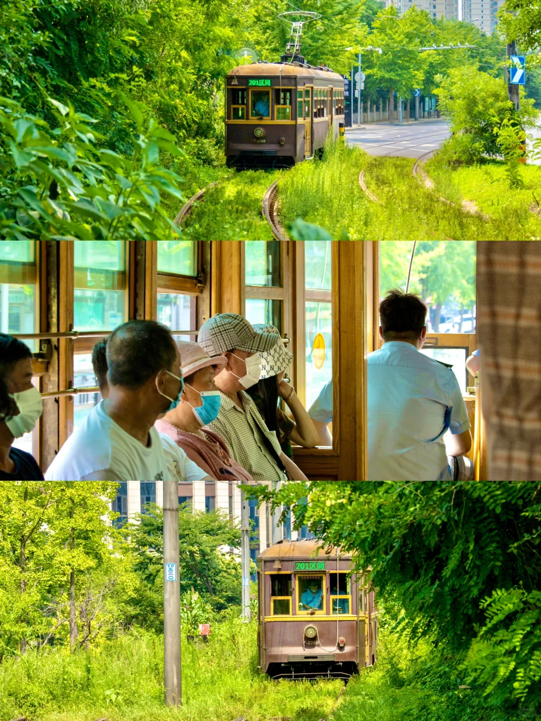 “以为威海已经很美了，直到我去了大连…...”