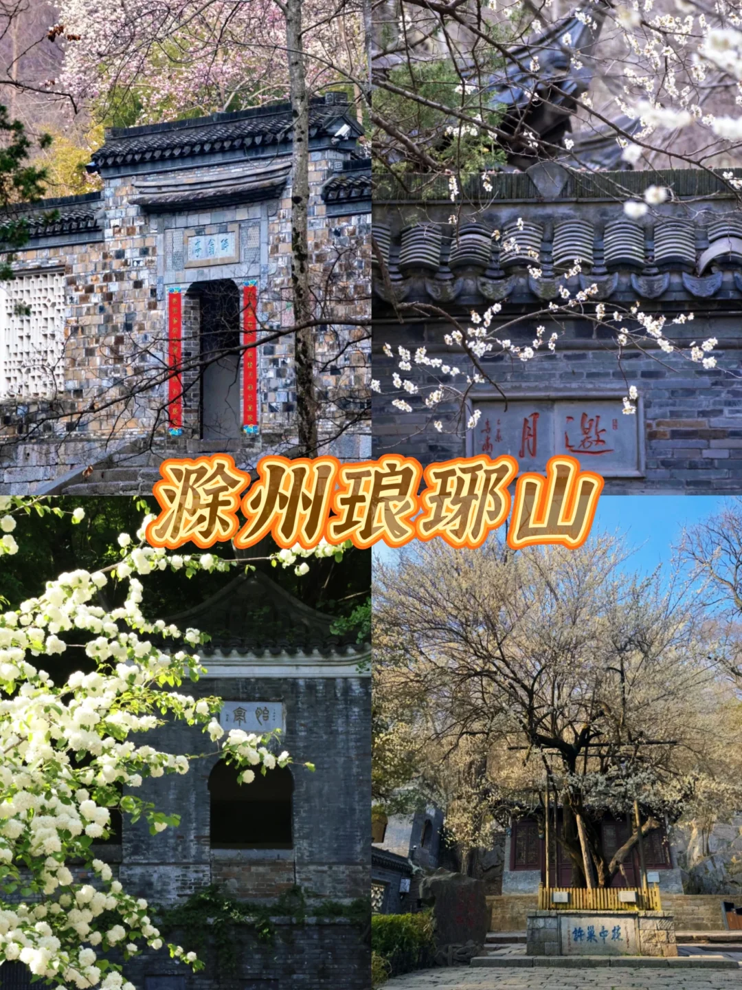 安徽3-4月必去的十大赏花胜地🌸