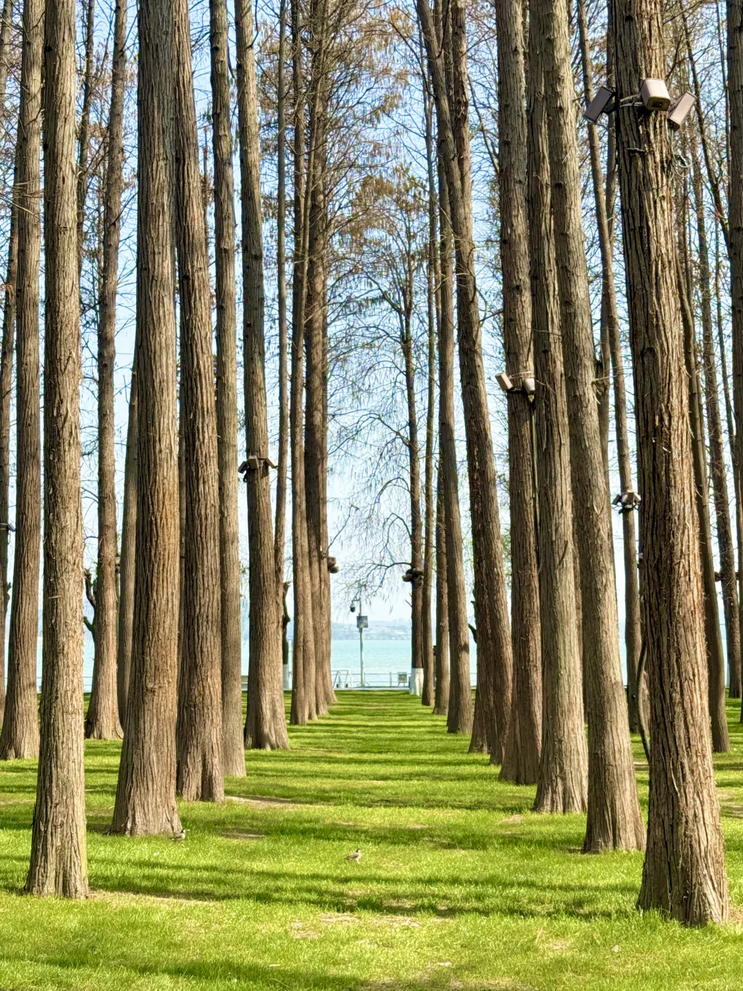 以为东湖磨山已经很美了,直到我去到这里…