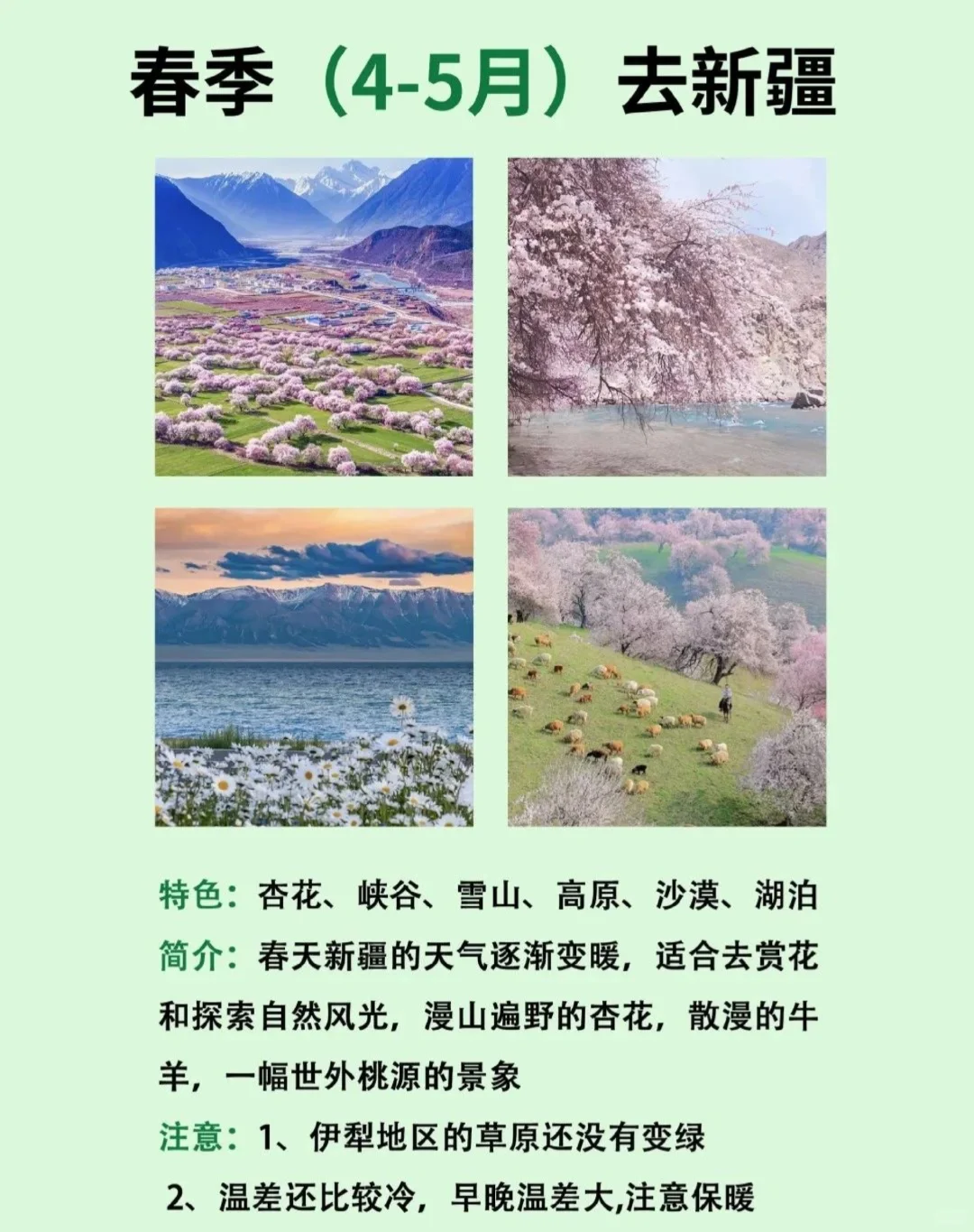 2025新疆旅游最佳时间几月份|一篇说清楚