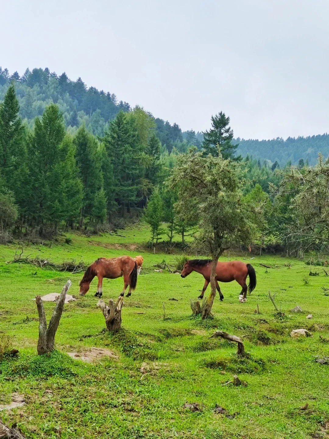 📍吕梁必去9大景点‼️ 旅游前必看❗️