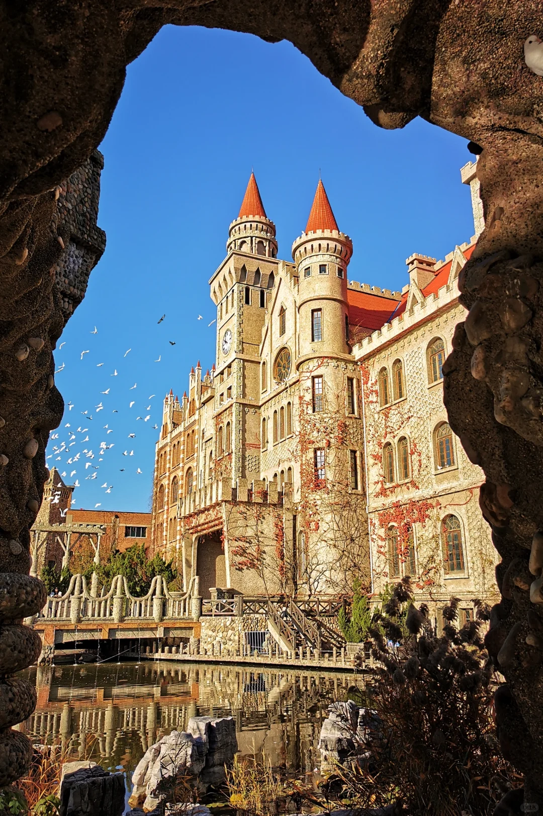 打卡天津254：惊艳的中华石园🌺