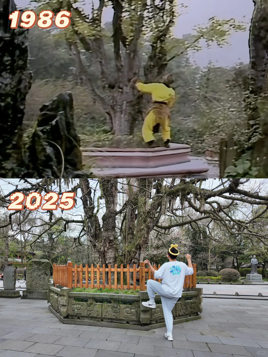 来都江堰只搞一件事👀