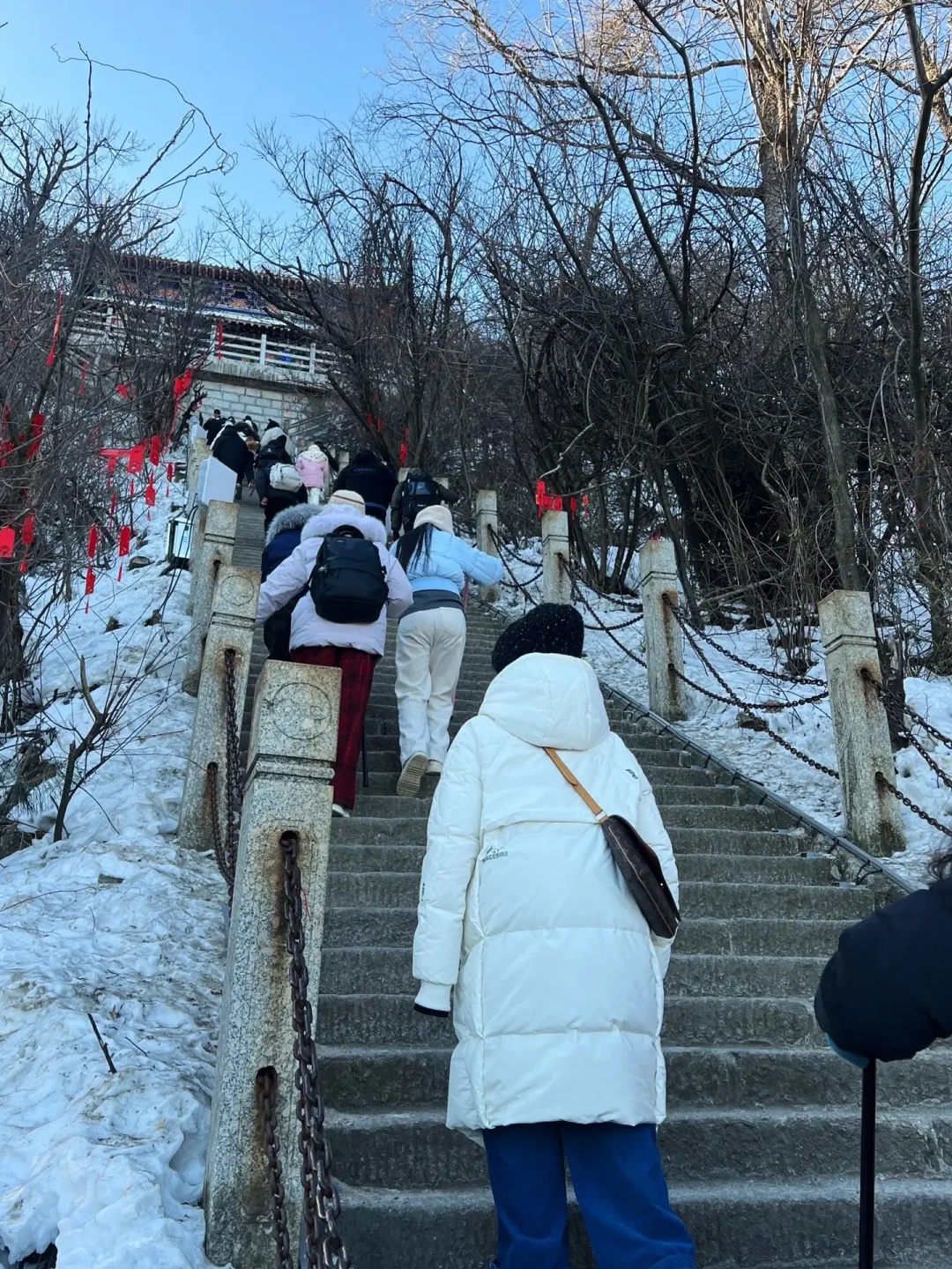 3.21号老君山实况,爬上来直接都无奈了……