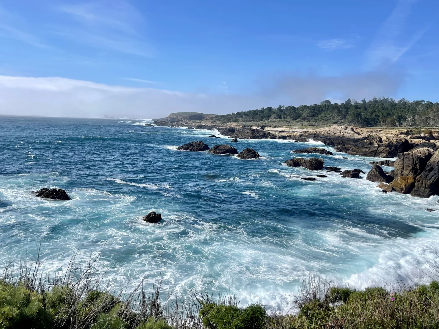 加州平替Hawaii 都给我去Carmel！附超强攻略