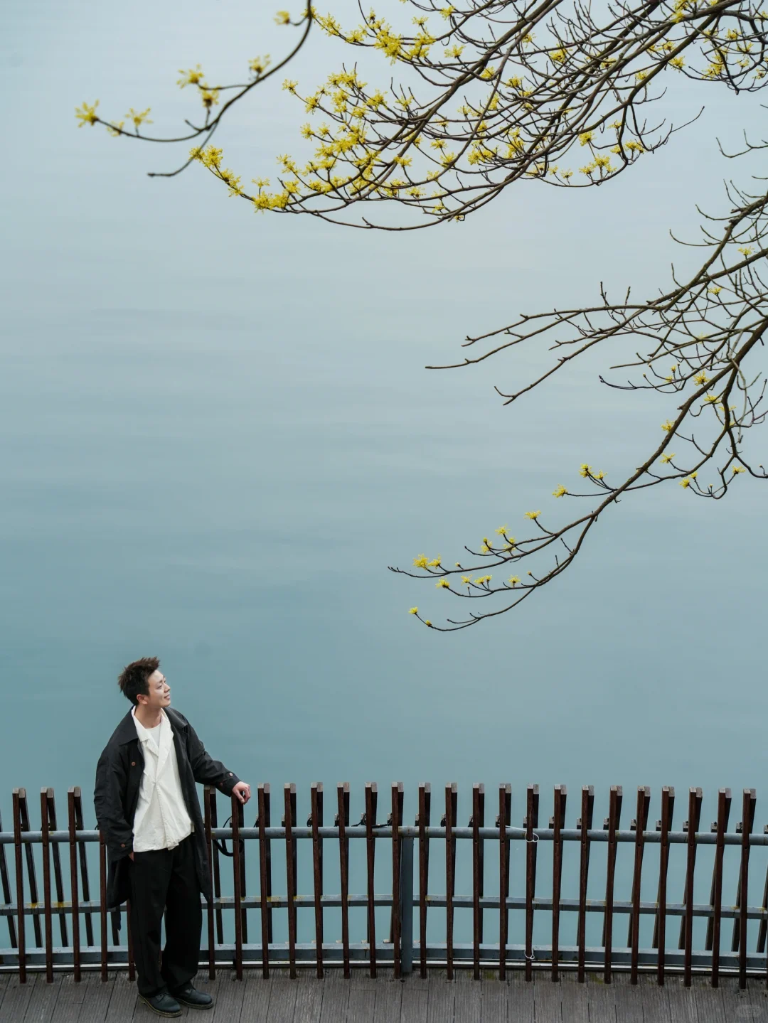 八千岛屿包围一棵树🌲江西被低估的宝藏景点