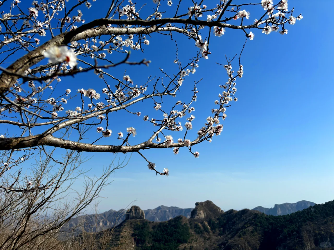 我在邯郸上春山，去天宝寨就看这篇攻略！