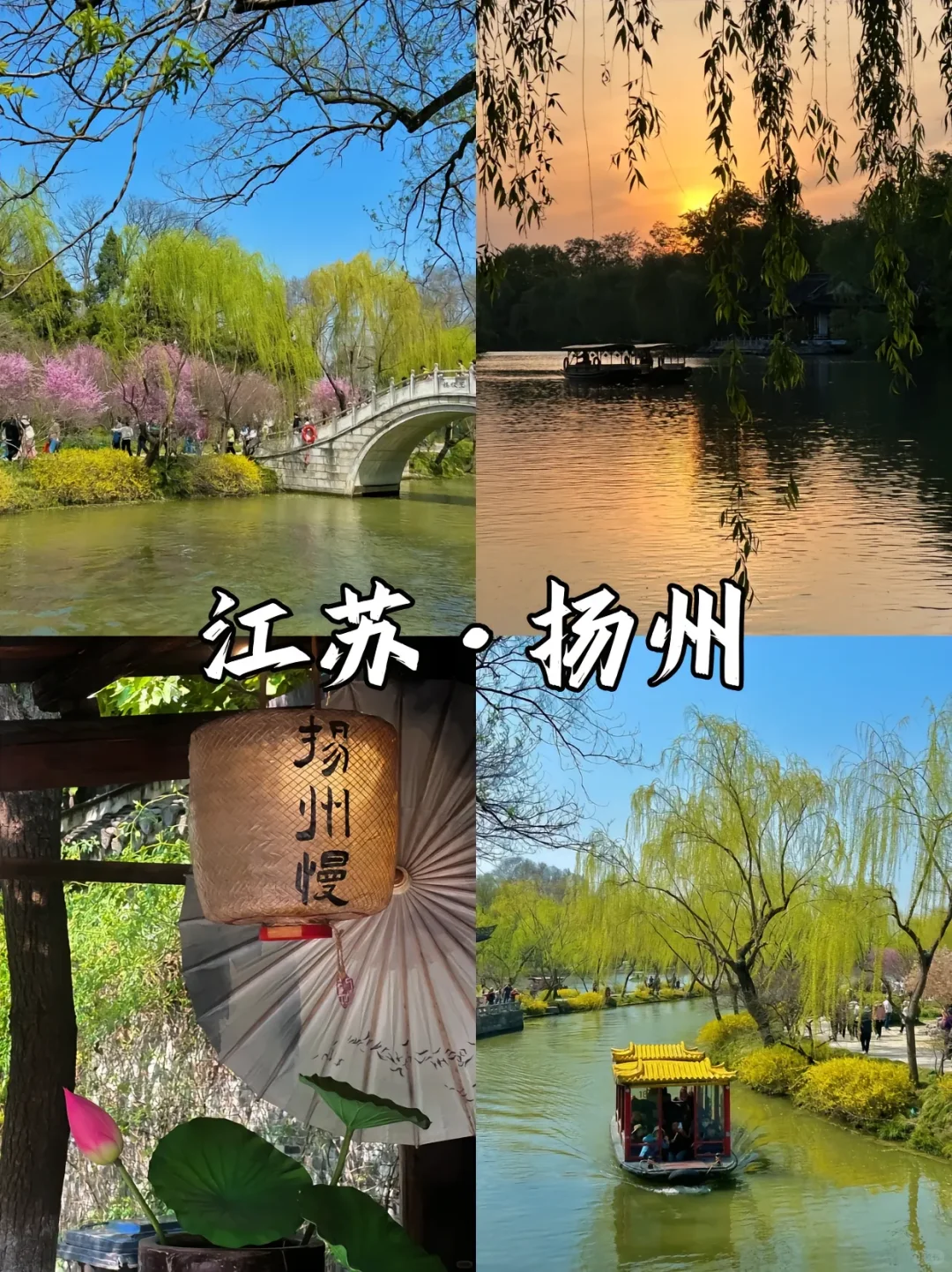 赏花漫游🖼️适合春季旅游的9️⃣座城市
