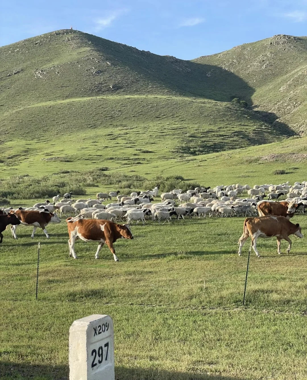 自驾｜达达线｜热阿线 真的非常值得去！！！