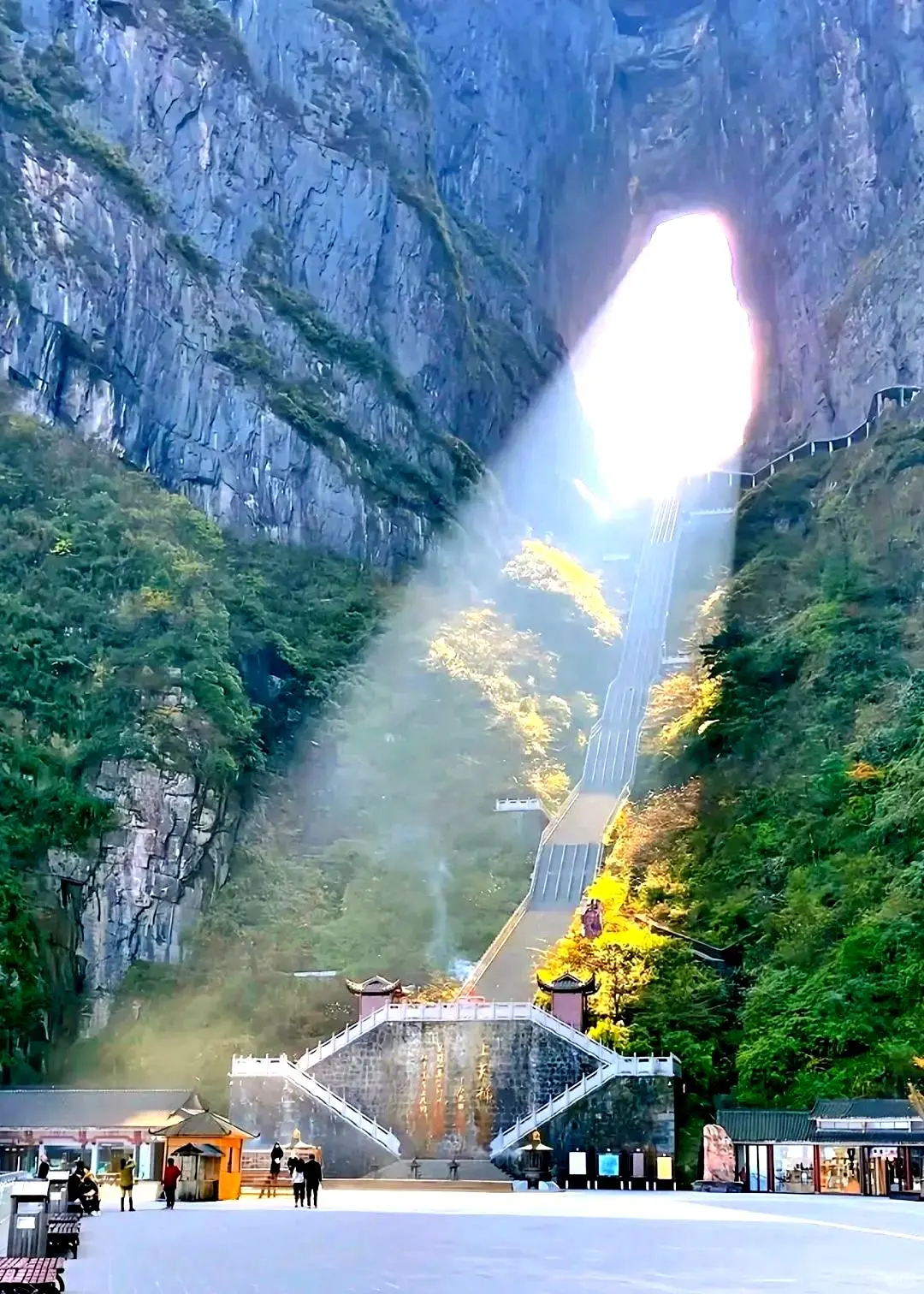 春季出游的最佳选择:3至5月的6个理想目的地,无需复杂攻略