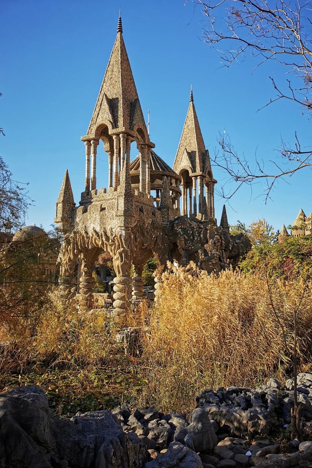 打卡天津254：惊艳的中华石园🌺