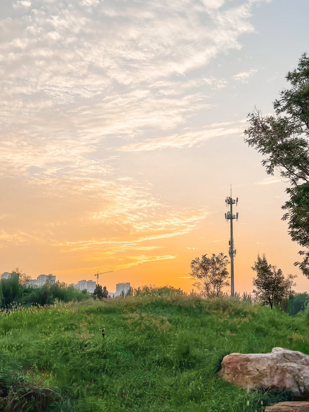 公园20分钟效应·邯郸植物园带来的松弛感🌲