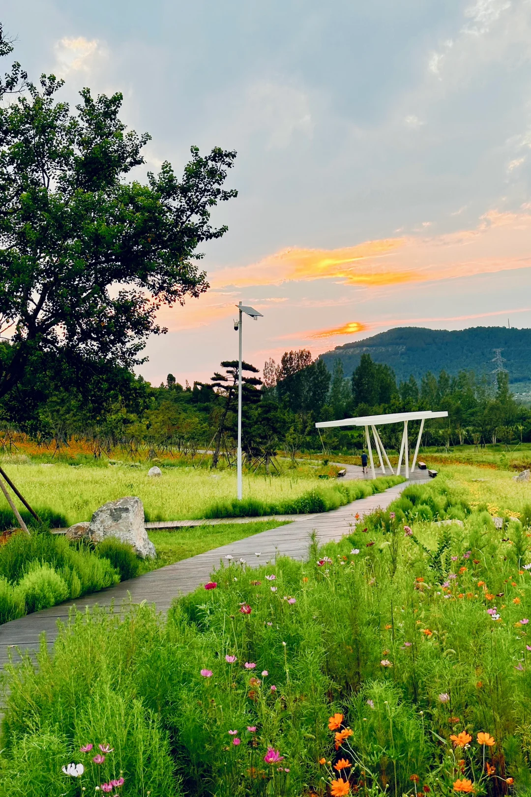 不用去新疆，枣庄也有自己的阿勒泰